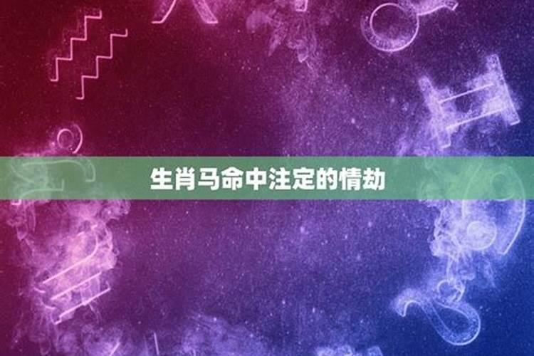 命中注定做小偷打一个生肖