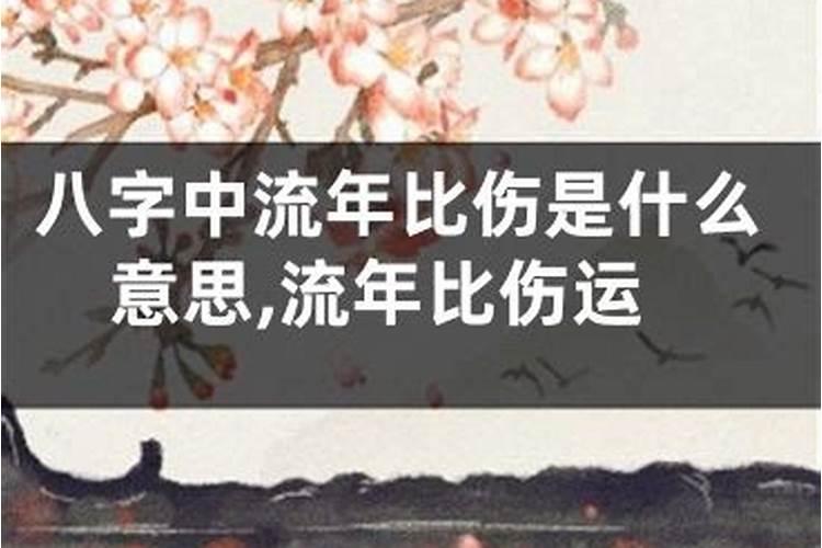 属马给哪个生肖不合