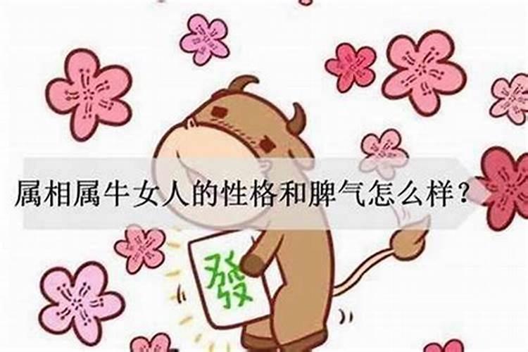 哪个属相的老公最疼老婆呢