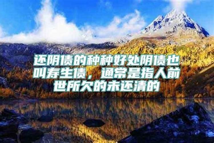 梦到杀了姐姐杀狗是什么意思