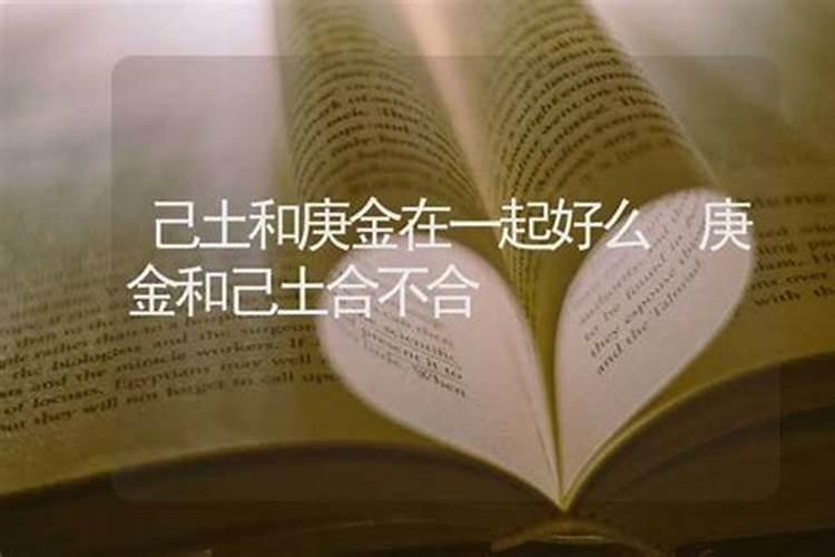 八字庚金和庚金婚姻合吗