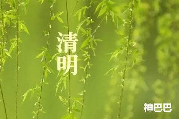 清明节时间是农历多少