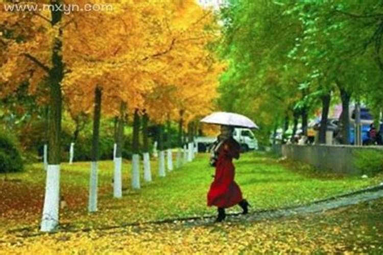 已婚女人梦见下雨收衣服好不好