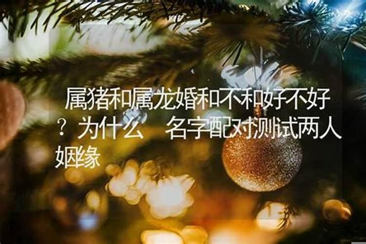 姻缘为什么不好算