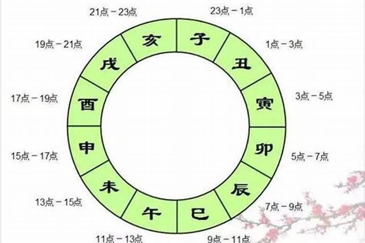 日支为子午卯酉是什么意思呀