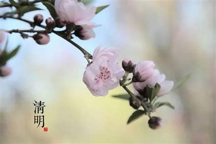 清明节后可以上坟吗