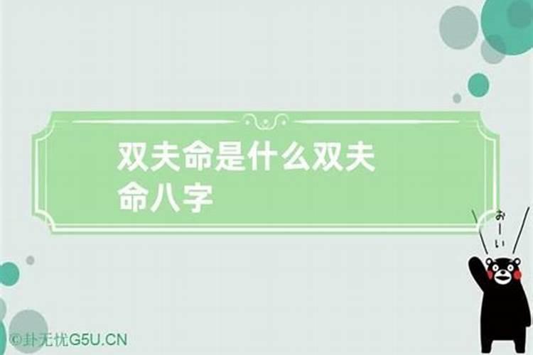 1979年属羊人今年的运程怎么样