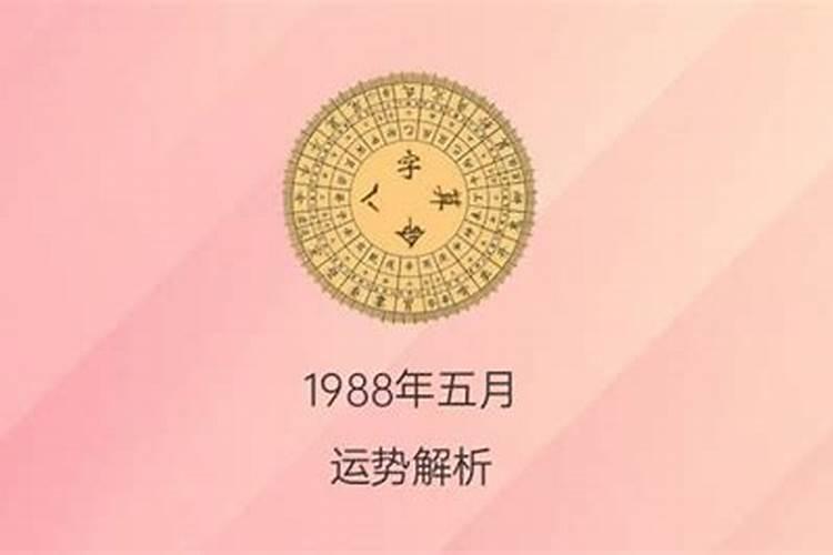 1988五月初一出生的运势