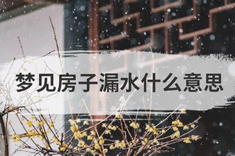 梦见娘家屋子漏雨什么意思