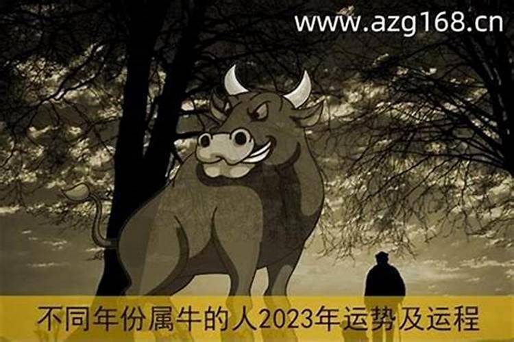 2023年本命年平安符