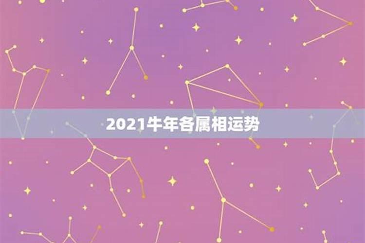 十二生肖牛今年运势查询