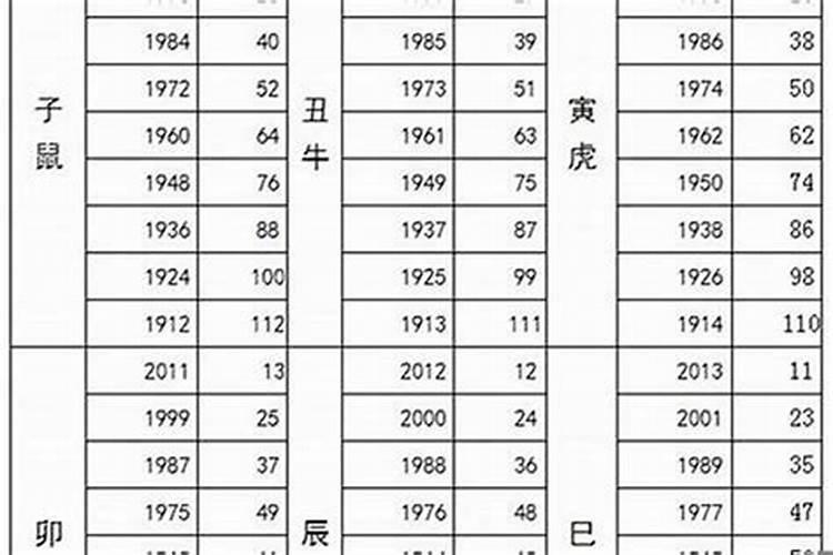 属猪的今年多少岁2020年