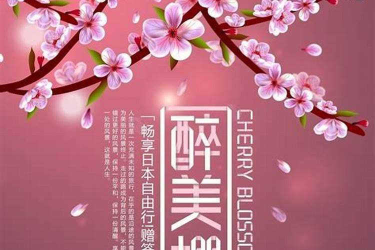 清明樱花祭是什么