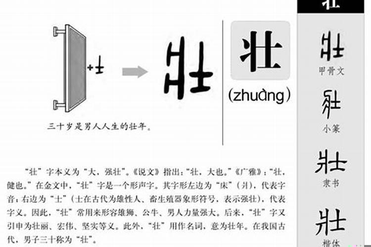 壮字五行属什么的意思