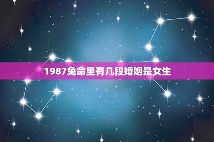 1987兔命里有几个孩子