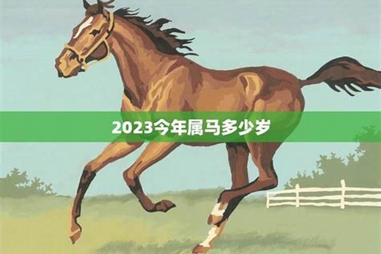 今年属马几岁2022