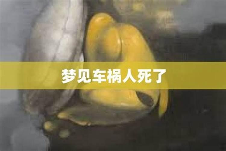 梦见车祸人死又复活了