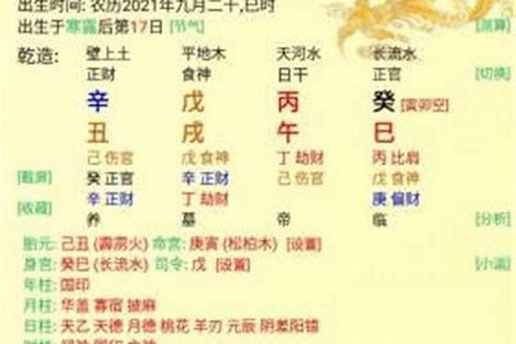 八字排盘宝结果怎么看