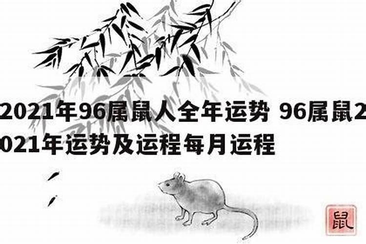 81年属鼠今年运势如何