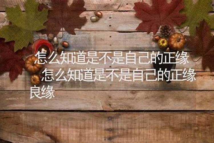 怎么知道哪个才是正缘