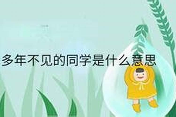 梦见二十多年不见的同学