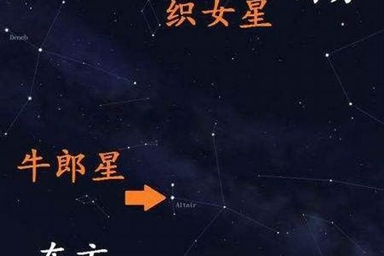 织女星是什么星座的主要标志