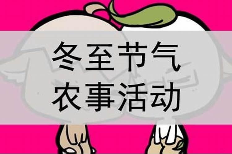 下列哪项是冬至节气的农事活动