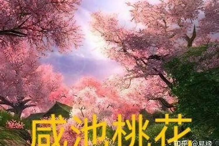 怎么查犯桃花八字