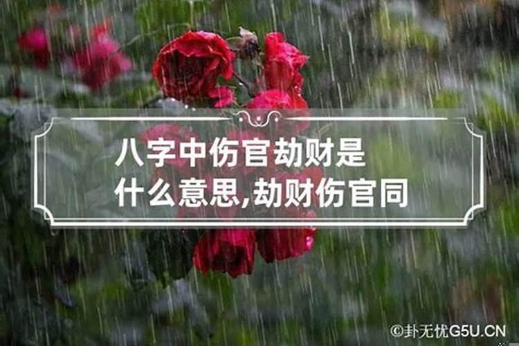 劫财伤官运是什么意思