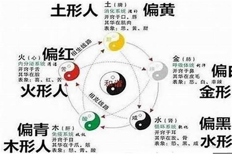 八字排盘伤比劫什么意思