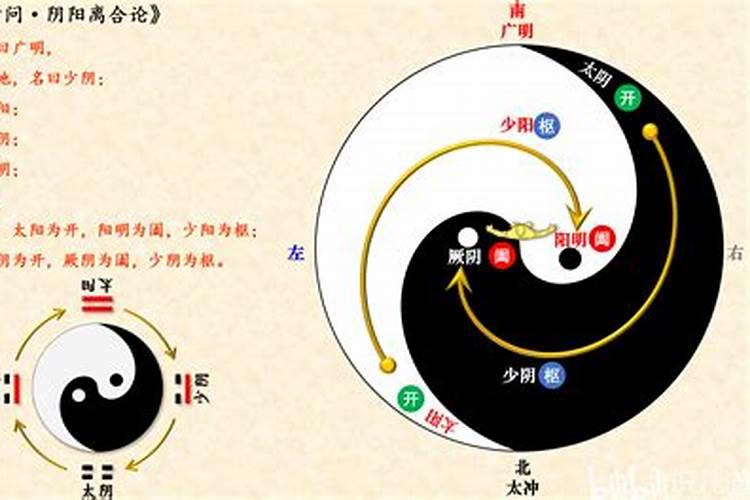 阴和阳的关系