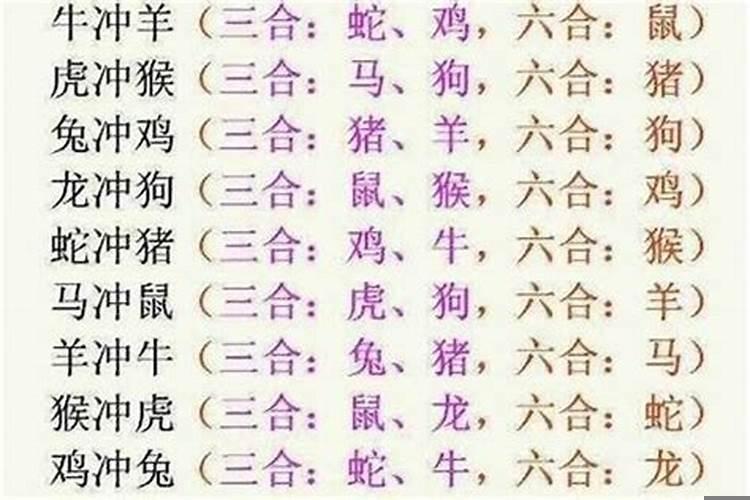 属龙和属猪的八字合不合