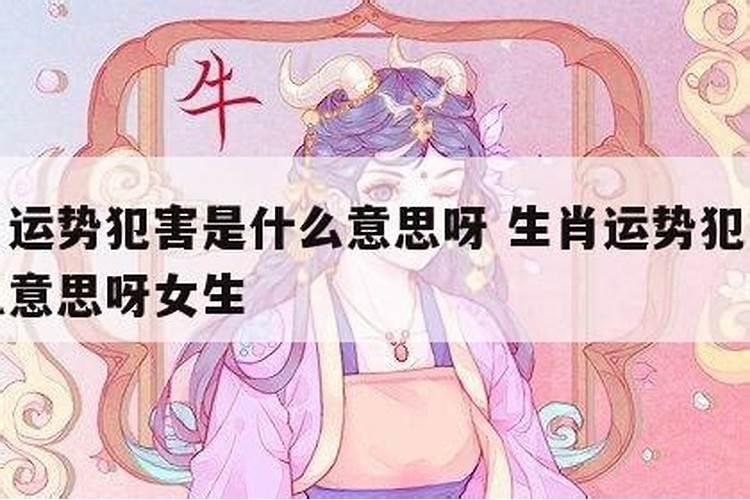 运势中犯害是什么意思