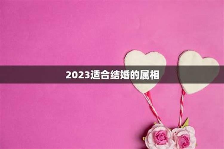 2019年适合结婚的生肖