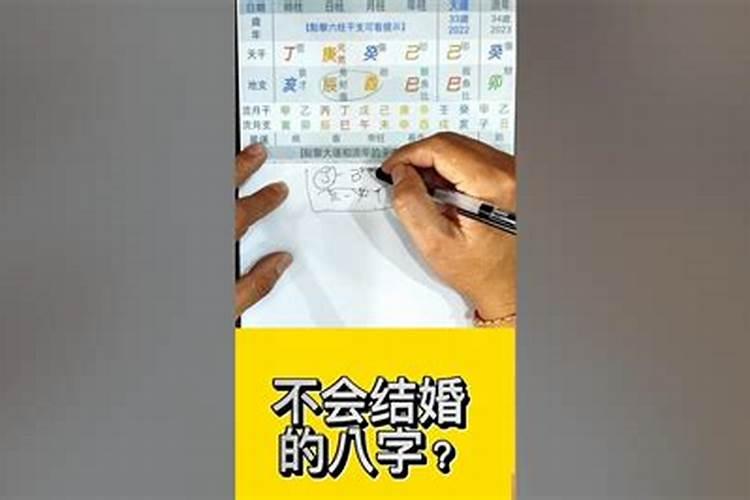 明年八字中什么合