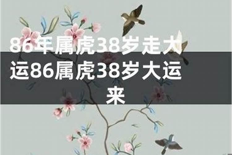 1986年生肖虎的大运年是哪年