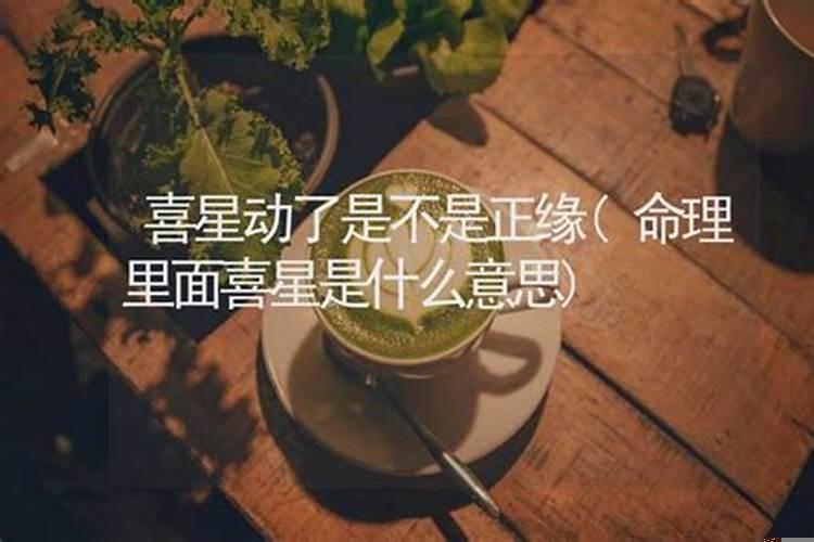 命理里面喜星是什么意思