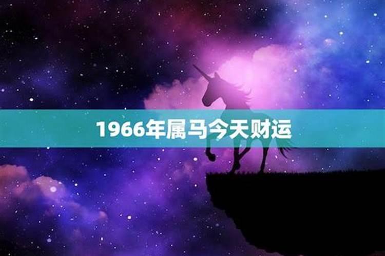 属马1966年属马今年运势