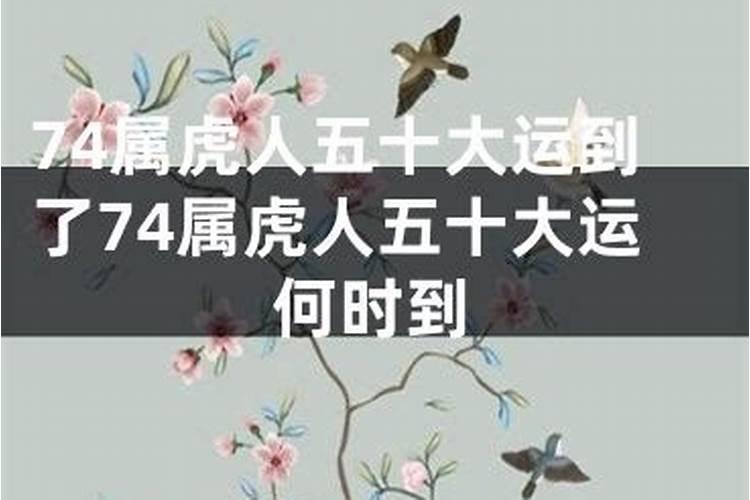 属虎今年感情运势如何