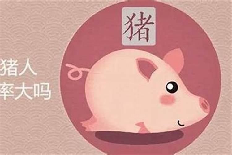 属猪和马今年的婚姻运势如何