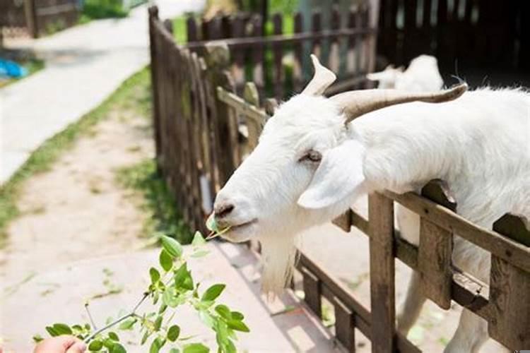 3月30日是什么星座阳历还是阴历呢