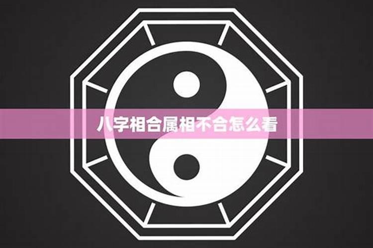 八字相合和不合怎么看