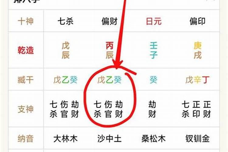 八字中月支是婚姻宫吗