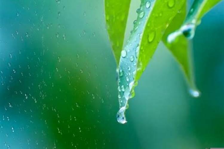 怀孕梦到下雨了预示什么