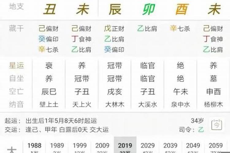 八字命与运的关系