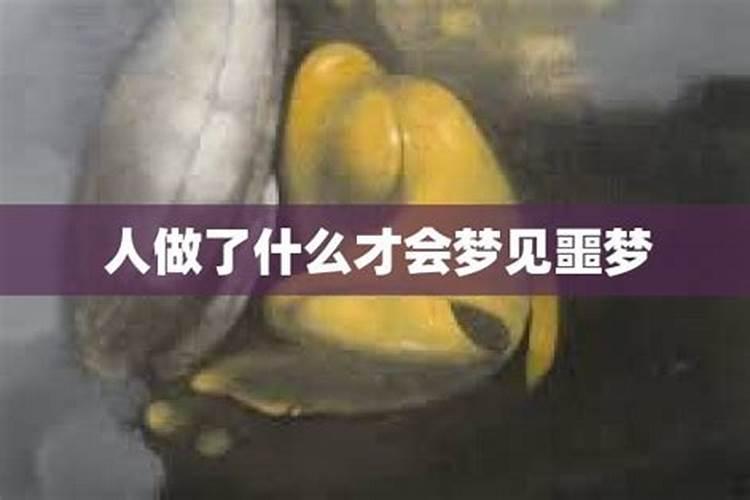 属蛇男宝宝一生运势如何