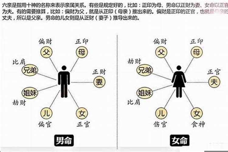 八字十神是什么意思