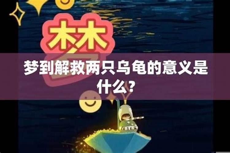 梦见两只龟是什么意思