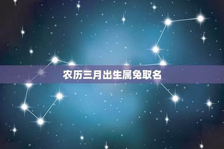 属兔今年农历三月运程怎样