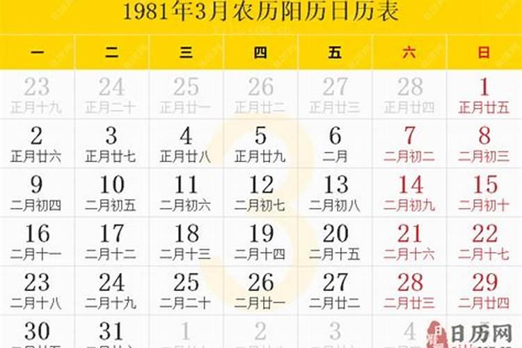 1981年阳历三月十五